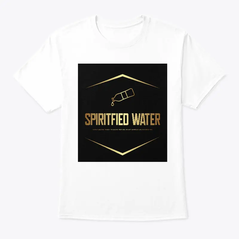 SPIRITFIED WATER BUSINESS 2024.