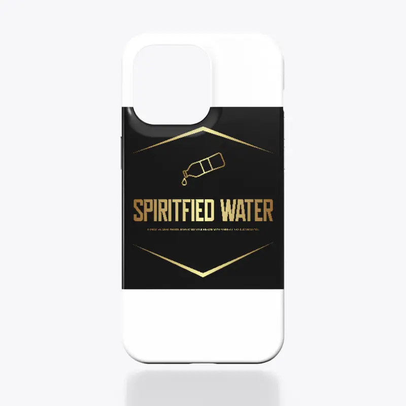 SPIRITFIED WATER BUSINESS 2024.