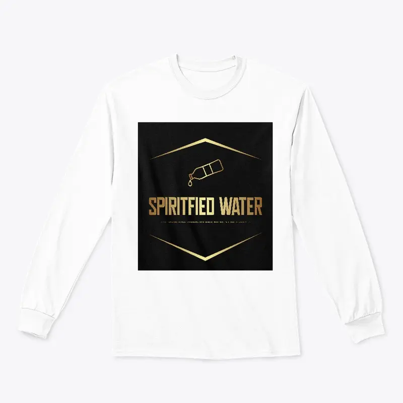 SPIRITFIED WATER BUSINESS 2024.